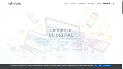 agence de marketing digital widigix