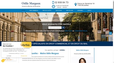 Avocat en droit des sociétés à Bruxelles