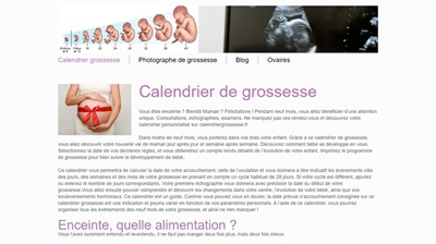 calendrier grossesse