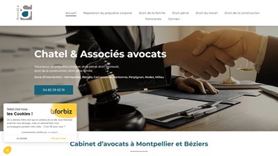 Avocat en droit pénal à Montpellier