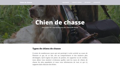 chien de chasse