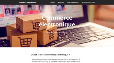 le commerce electronique