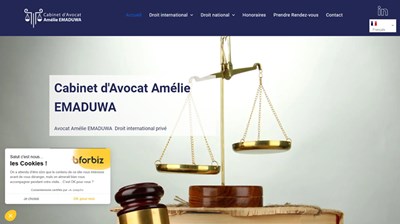 Avocat en droit national à Paris, Maître Amélie Emaduwa