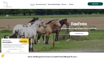 EquiCoaching à Leuze-en-Hainaut 