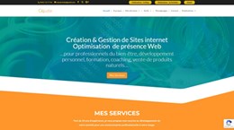 Claude Laloy : professionnel en création de sites wordpress